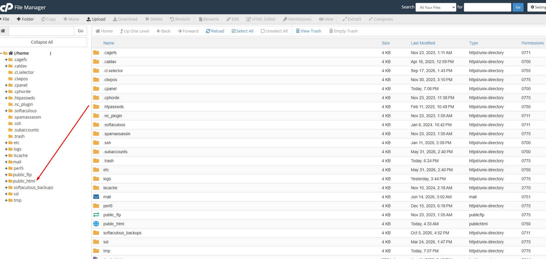 cPanel File Manager folder tree pointing to the public_html web root folder cPanel File Manager folder tree pointing to the public_html web root folder
